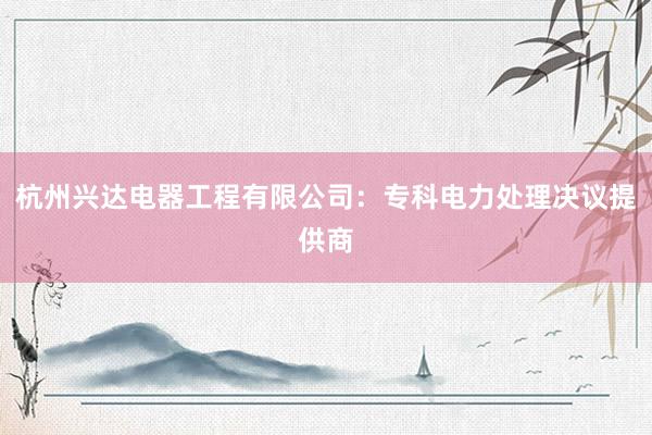 杭州兴达电器工程有限公司：专科电力处理决议提供商