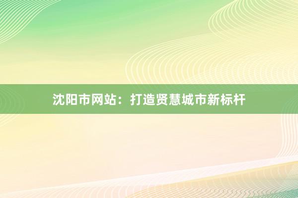 沈阳市网站：打造贤慧城市新标杆