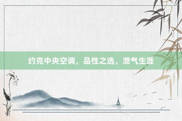 约克中央空调，品性之选，泄气生涯
